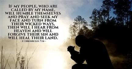 e14c2440-c4a1-4b43-bc0c-e215ce9787c2