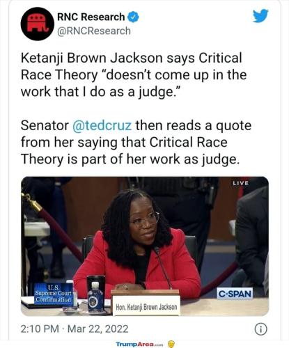 critical-race-theory4939