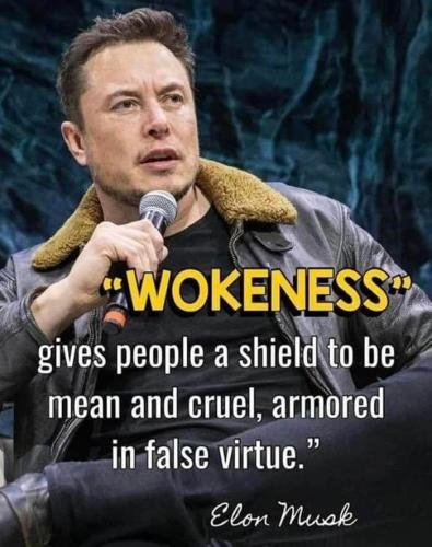 Wokeness 1