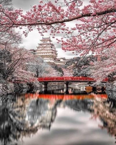 279083112_159335263171462_4016717128941912650_n