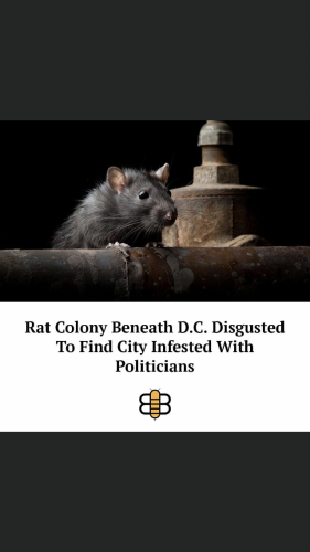 11:08:51 GMT-0400 (EDT).image