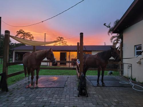 b2e4fe9a-e58f-4546-8bac-0ff66299b73d