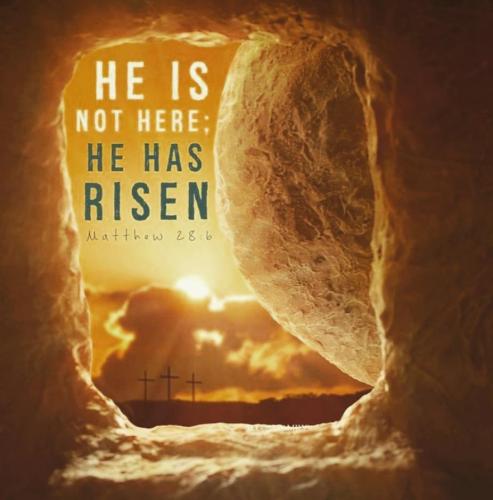 465af160-6513-4bfb-b511-958bf04e44ab