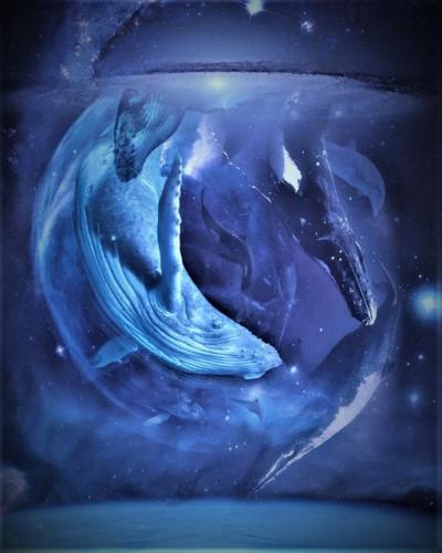 ,                                                                                                                                                                                                                       0   5a