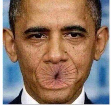 8fa6d14e-e29e-4fe0-8211-3f61051fd39d