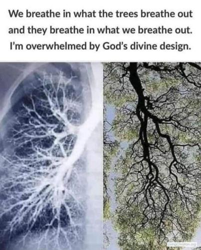 7de0cbf6-70fe-4c41-8f9f-dc6e5fdc9a51