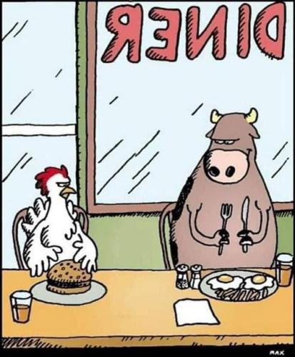 279156036_388265089975904_6252842297053569484_n