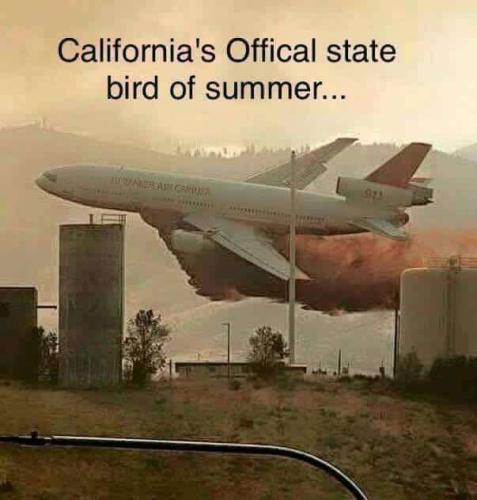 e5975046-b453-490b-80d2-2abfb6ab776e