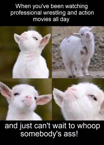 Whoop Ass Goat