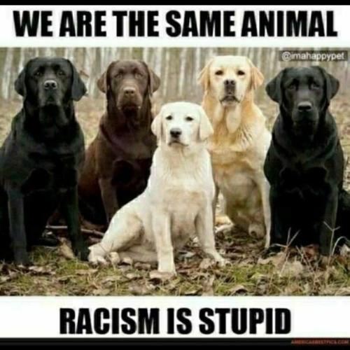 195ca0b1-24c9-4c25-af7b-8474b45126e1