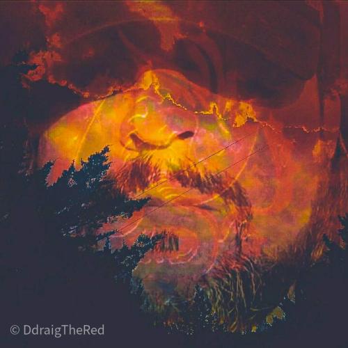 a8b9aa06-d1aa-4b0d-a365-dcac0338be2d