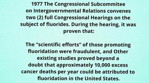 received_546620620207323_kindlephoto-191758340