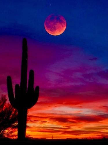 BE0D4A1F-F968-4044-830F-E94CE0DED538