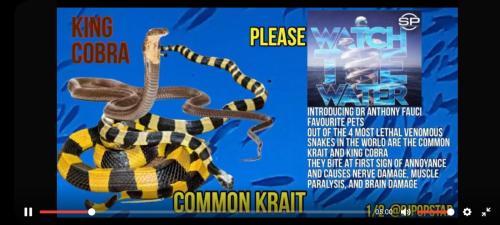 c76a5b9f-6567-45ee-bfe9-5c81473e8b28