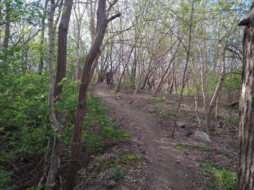 ebce7c0d-f0ec-4737-b718-2e720d52c017