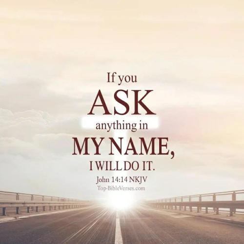 8f78bdad-d337-4b9c-bb23-f7237b527914