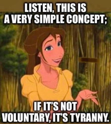 60a7552a-b56c-4a8b-8c58-a75ad2536493