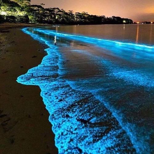 77DE95EB-B736-443B-A06F-0D8DCDFDFCED