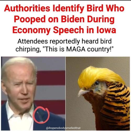 5a0269d3-7afe-4b69-8974-8d1c16cf82fc