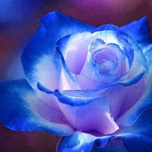 20:06:04 GMT-0500 (CDT)