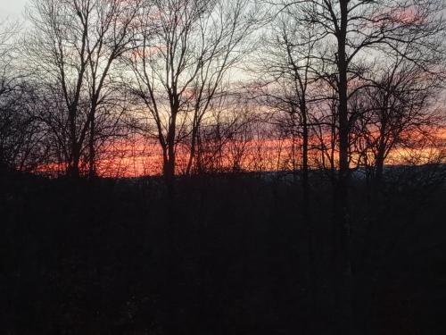 57116f47-d092-435c-88b1-3a7669f1c850