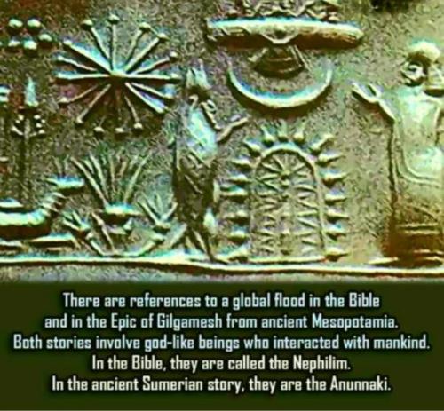 88848c16-105d-4f78-8ba7-851e8e22dddf