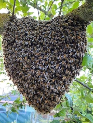 Screenshot_2022-03-28-01-58-59_kindlephoto-143930011