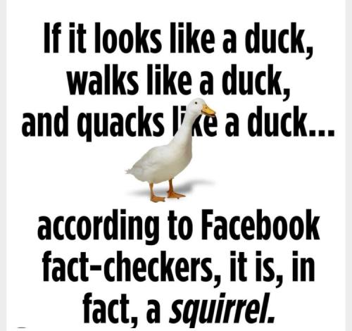 11F9BCB9-8D3B-4A3E-B565-F7113214826E