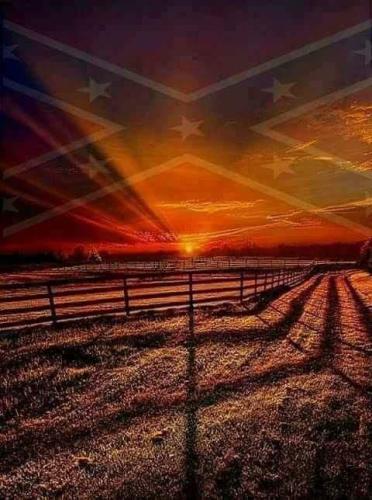 24519f9b-8c40-4773-af00-880b0ce89138