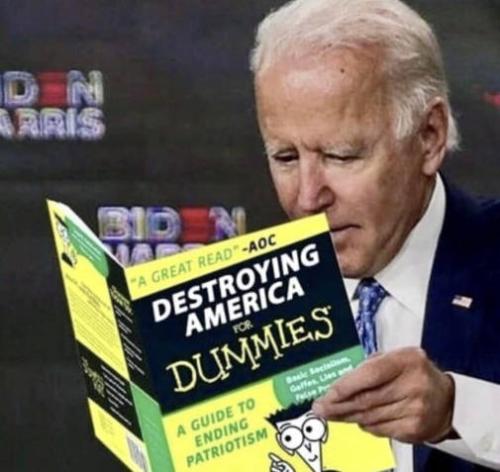 joe-biden-destroying-america-dummies-aoc-great-read