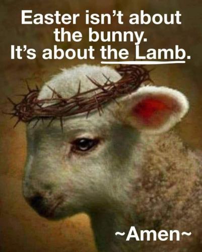 3a803bc6-972a-4985-bdfe-ef412b627afd