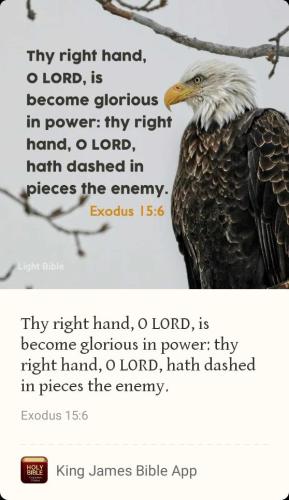 cd5e7f6e-05ab-4a48-a7ee-6e6d85af7139