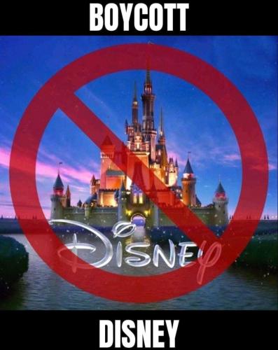 278010990_536526241166423_5960037966519091585_n