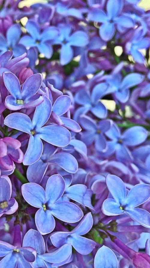 98a986be-474e-47c8-be5f-00ba3e793358