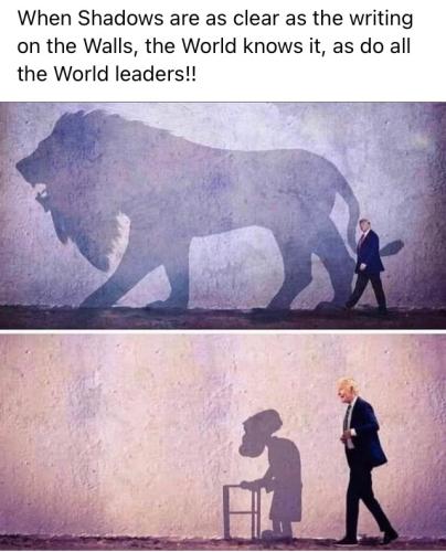 B8BDA8DD-A003-4415-9085-E4F6D77129B7