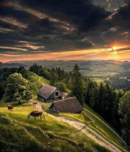 19:33:25 GMT-0500 (CDT)