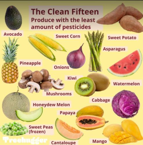 278218172_10158992649265292_8694006430572251104_n