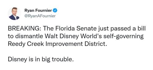 photo_2022-04-20_16-03-47