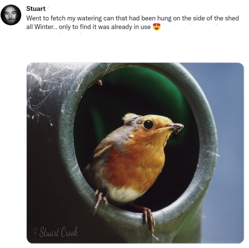 Screenshot_2022-04-17-10-27-43_kindlephoto-253828173