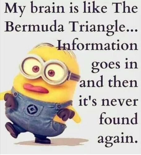 52b3572b-5036-4fea-b12b-aa4f412607a6