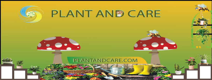 plant and care-1-01