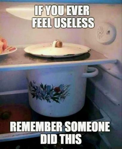 FB_IMG_1649998711030