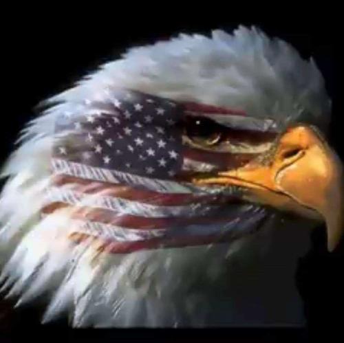 dccde34b-1e12-4700-b567-23a922a6c6be