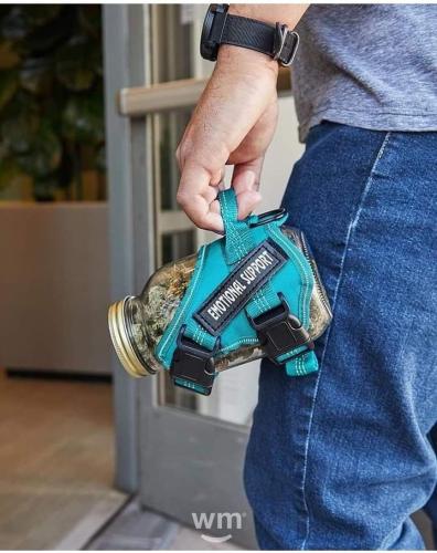 21c0776b-299d-499a-b3d4-75dba8ce3c53