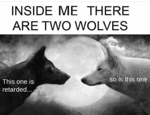 8750BA08-29E3-4D4B-B6A2-1D2D0588589D