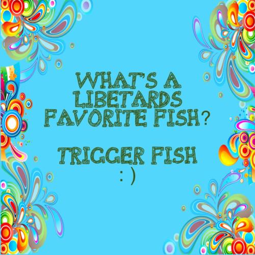 a6cb1ae3-4737-401c-8cad-f46605508821