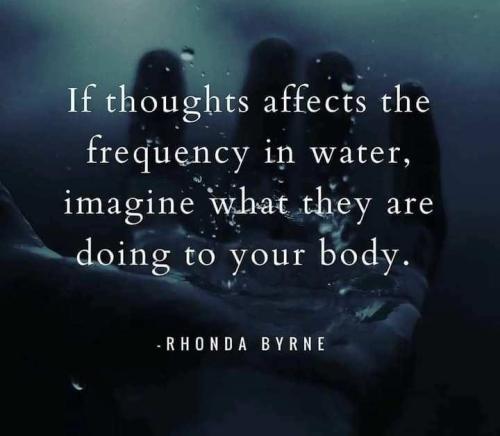 d226d16b-a906-4e06-90d9-9b4a62164665