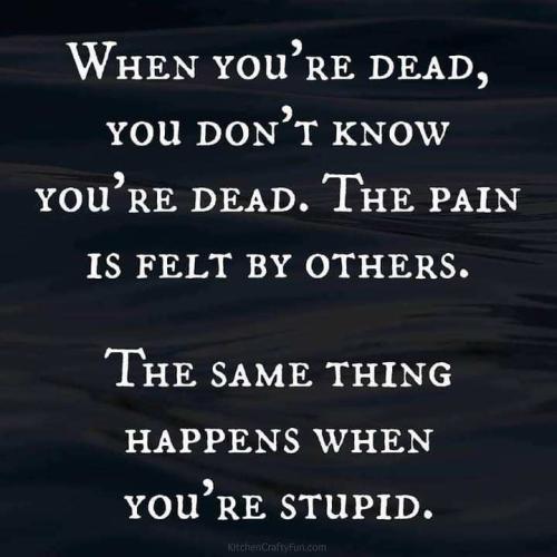 18c56975-07e4-4bc8-9131-fa4302c195e1