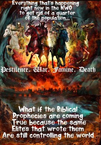 6844ca35-5720-4787-9428-f4b5fd8eaf66