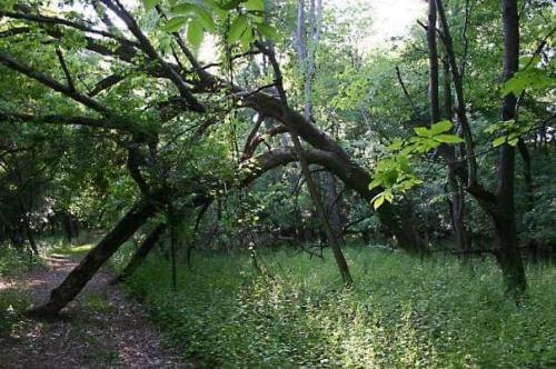 1bc071eb-f37a-4f5a-b01f-cc6e41148107